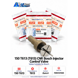 Bosch T613 Enjektör Kontrol Valfi | CNR 150 613